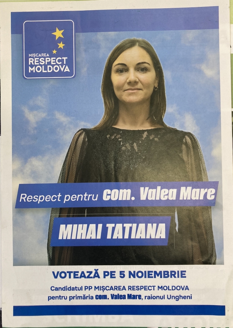 Buletin informativ electoral