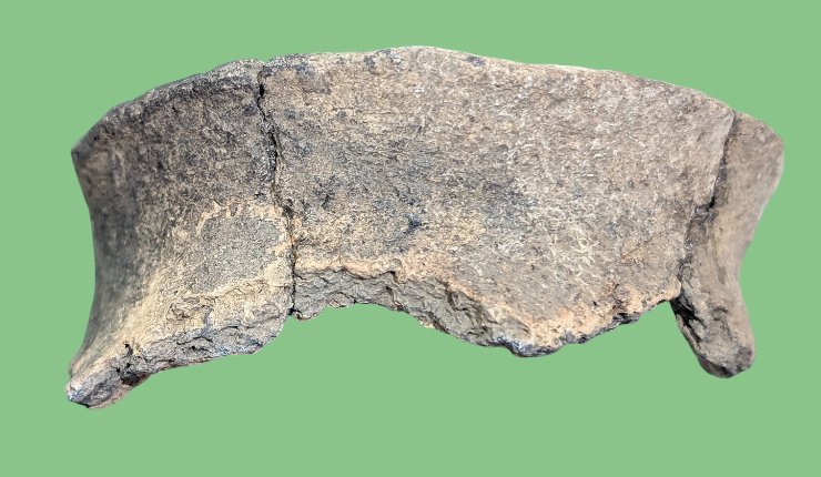 Fragment de vas