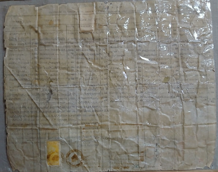 Foaie matricolă / situație școlară (cu note)