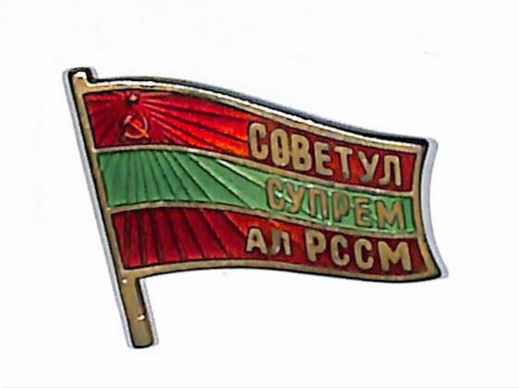  Insignă