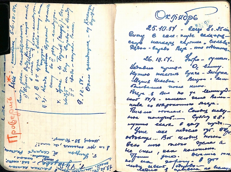 Manuscris olograf