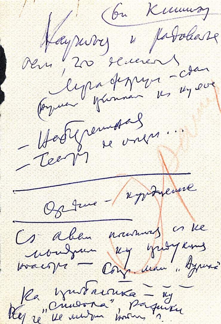 Manuscrisele Pavel Boțu