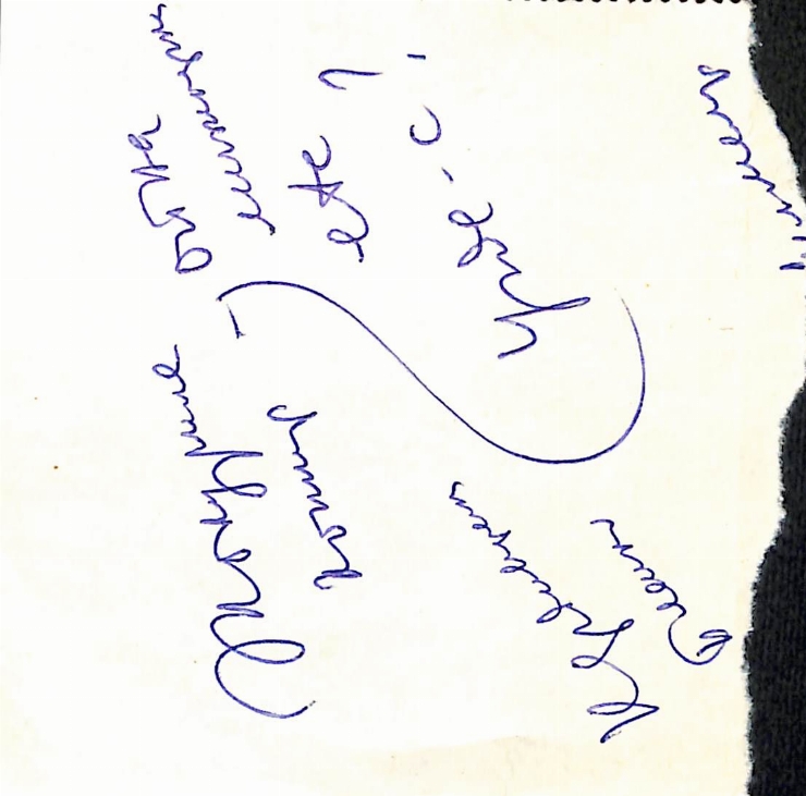 Manuscris olograf. Notițe varia