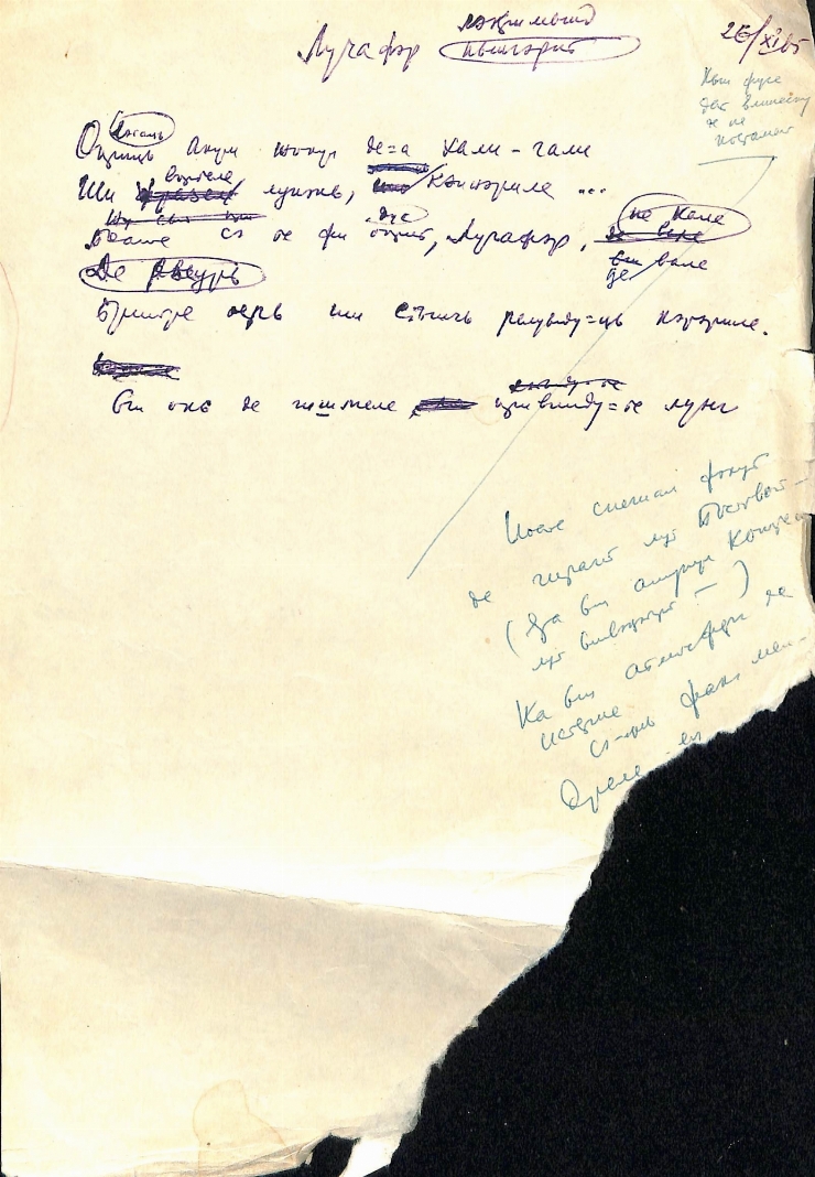 Manuscrisele Pavel Boțu