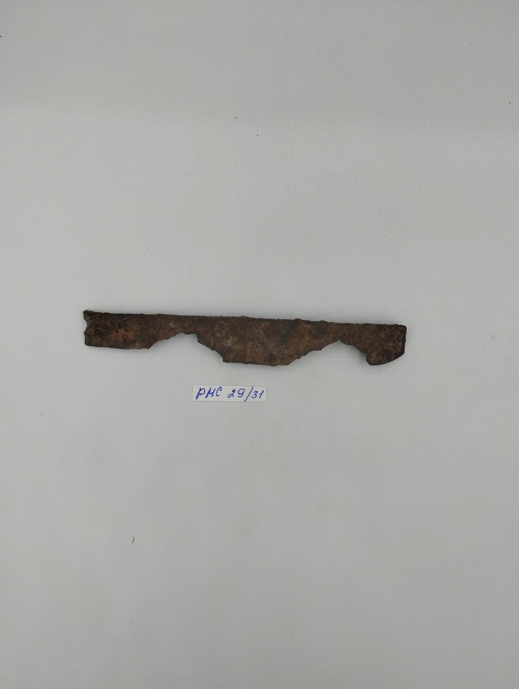 Placă de fier
