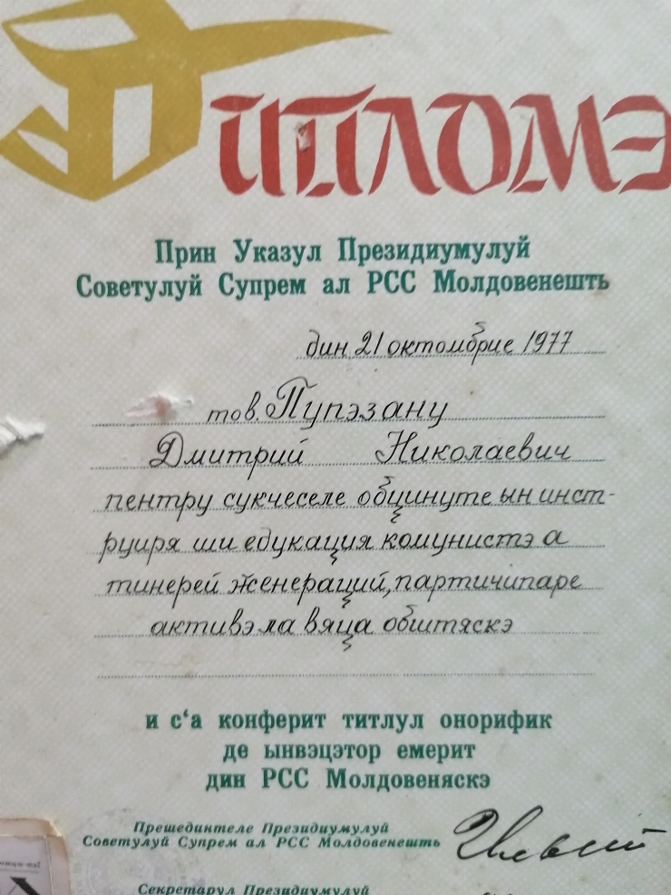 Diplomă 