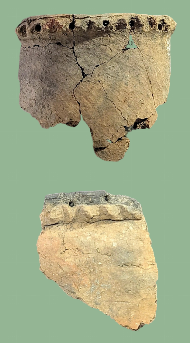 Fragmente de vas