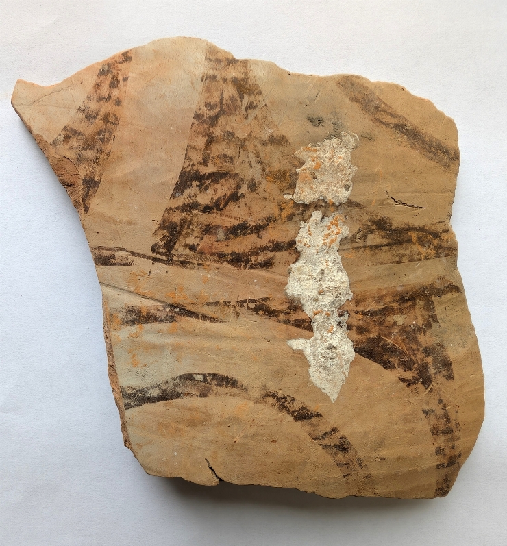 Fragment de oală