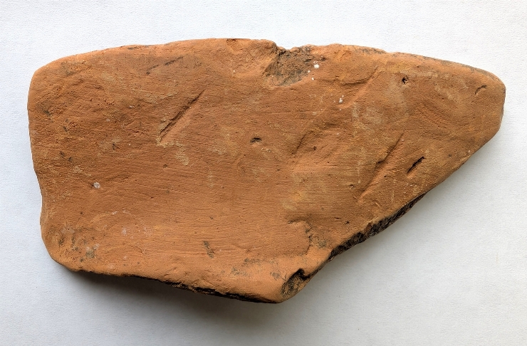 Fragment de castron (strachină)