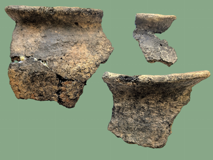 Fragment de vas