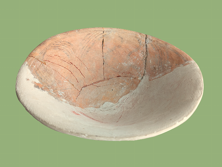 Strachină