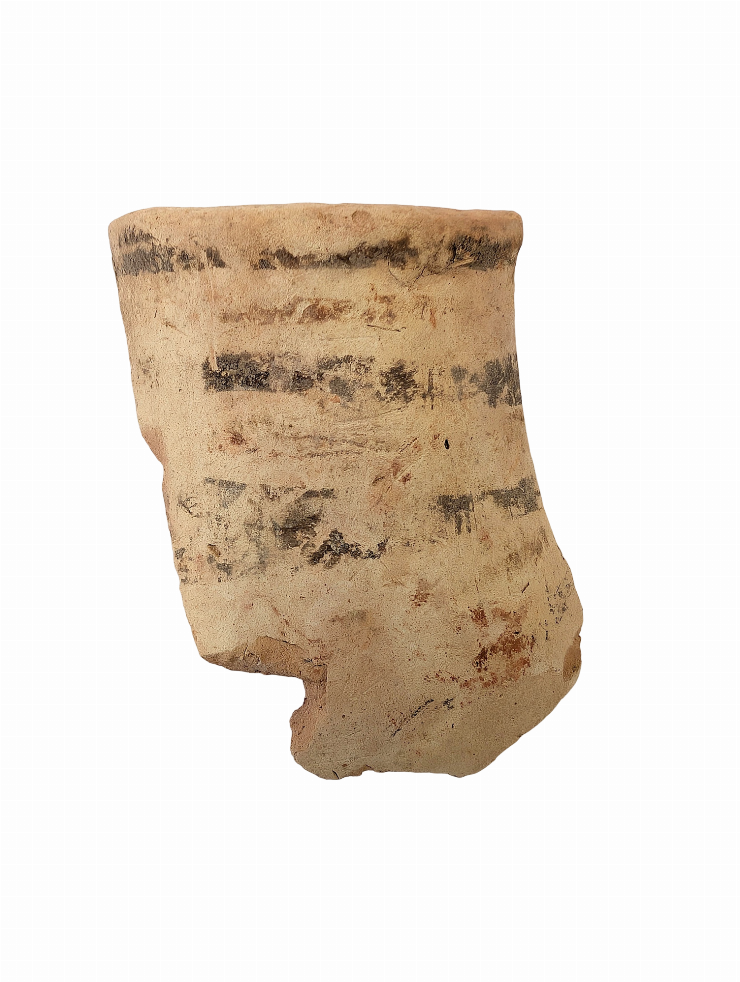 Fragment de pahar(cupă)