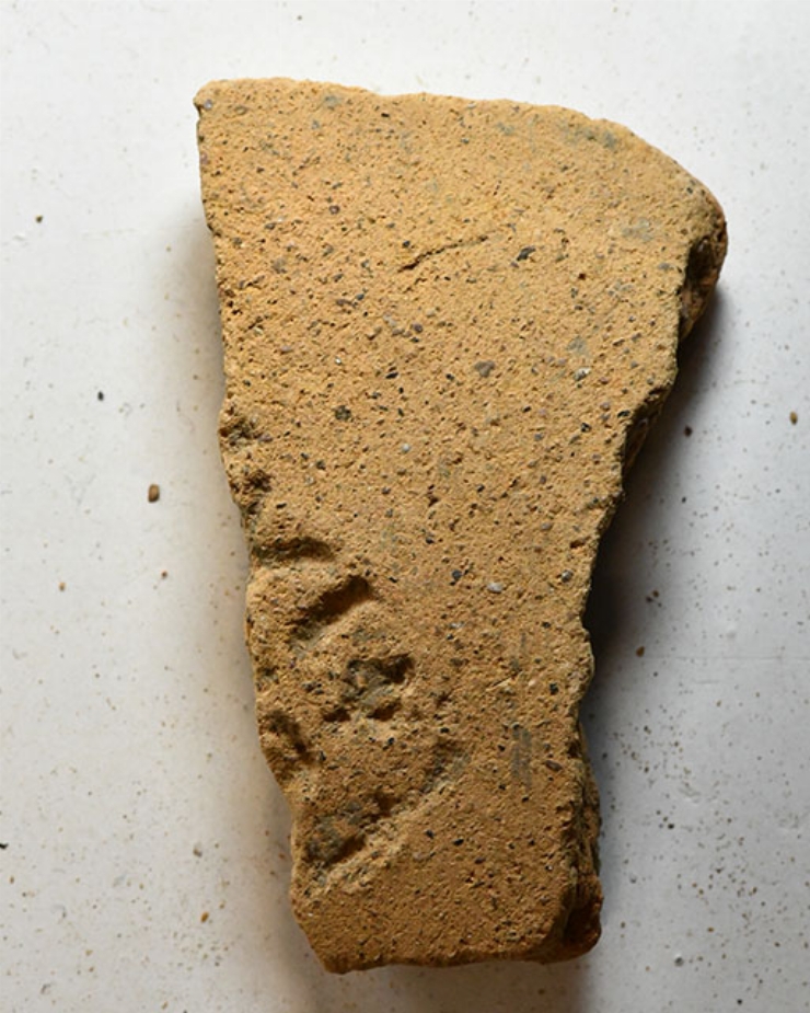 Amforă; gât cu ștampilă; fragment