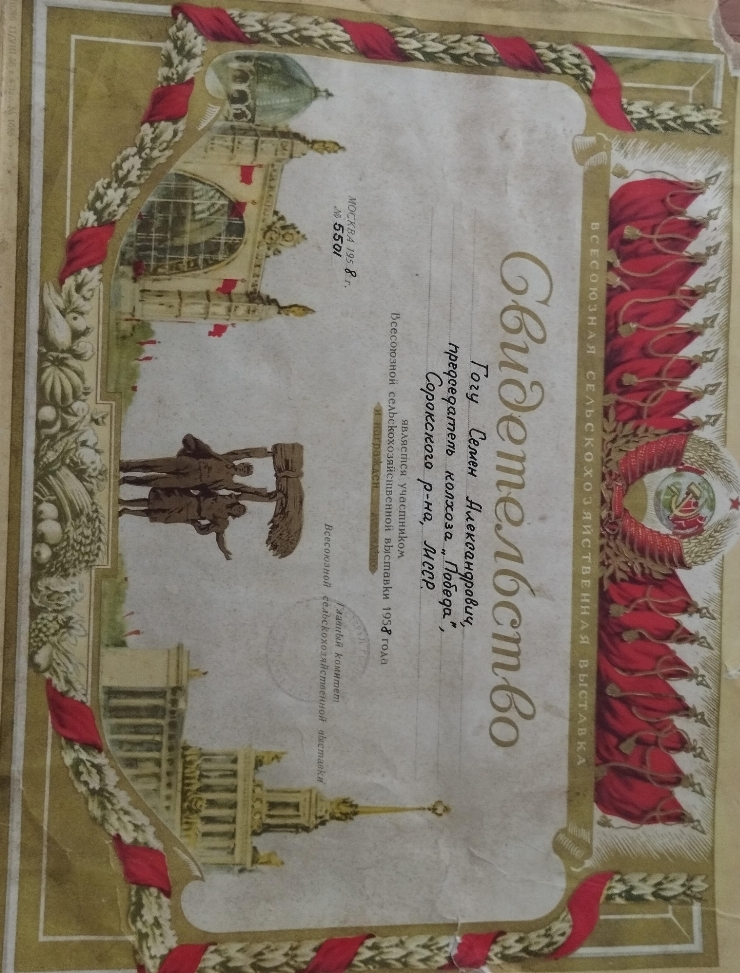 Certificat nr. 5501 al colhozuli Pobeda 