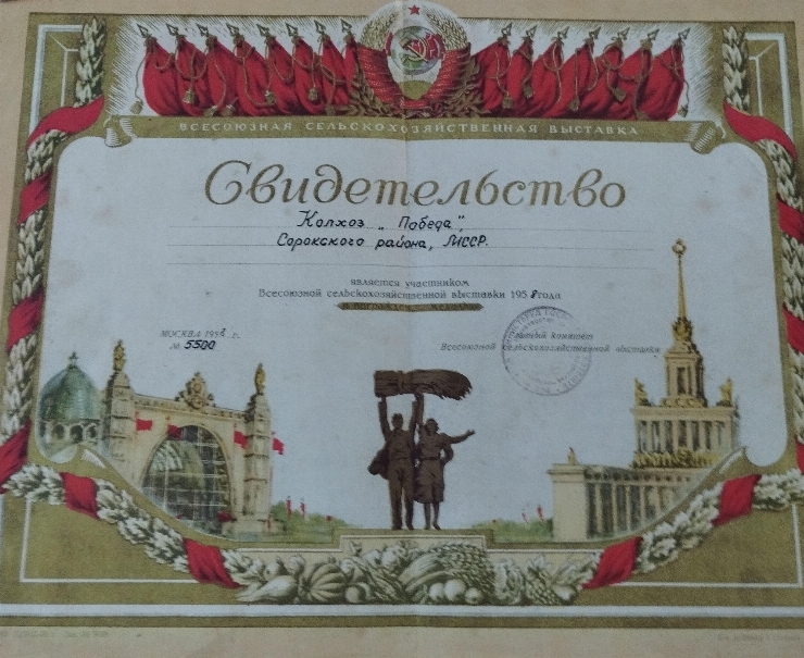 Certificatul nr.5500 al lui Gogu Semion