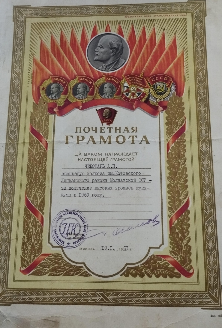 Diplomă de onoare 